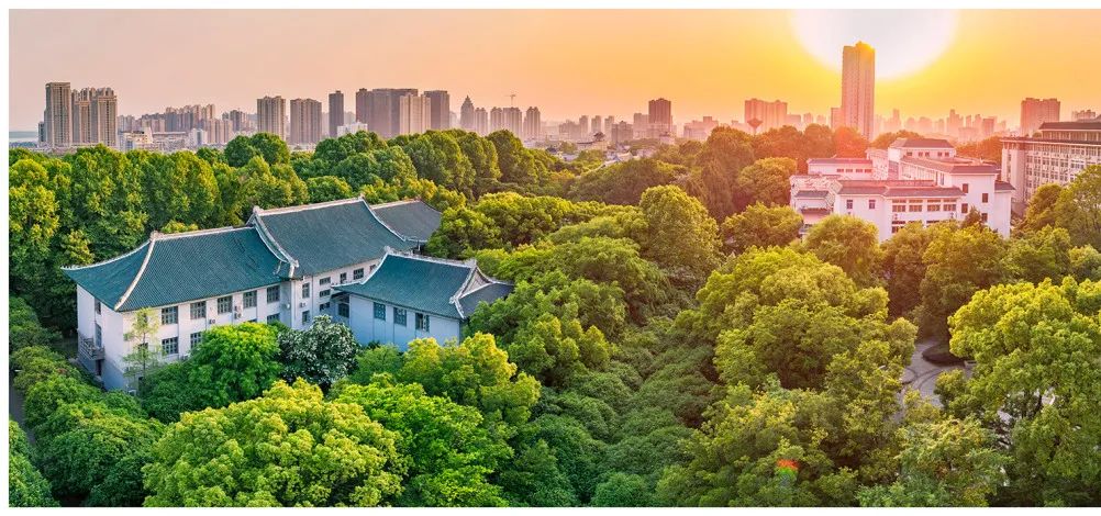 华中师范大学2021年国际青年学者论坛公告