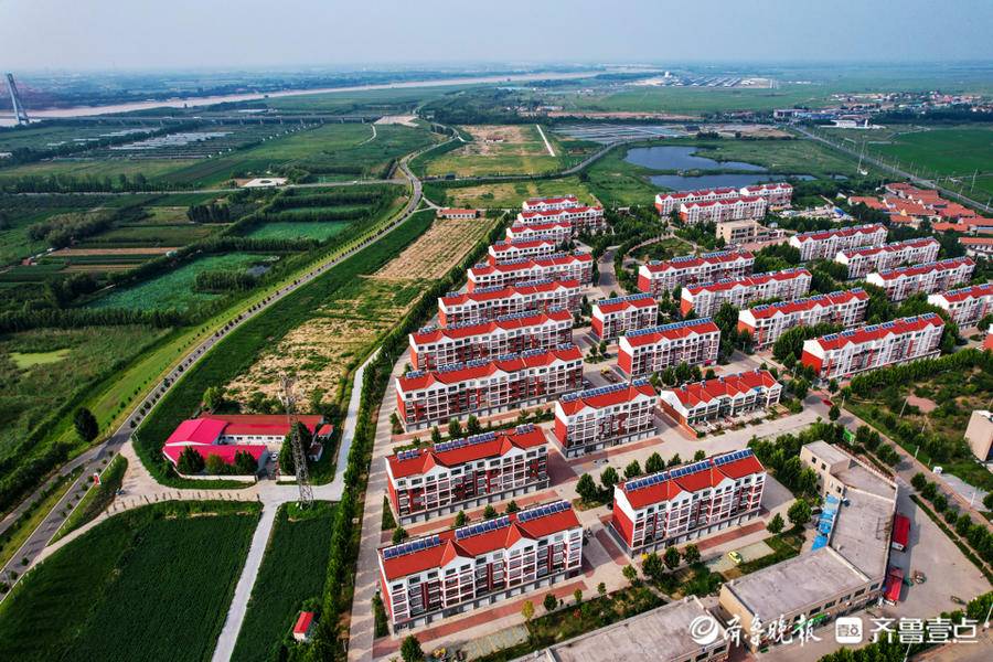 东营电动车交通违法