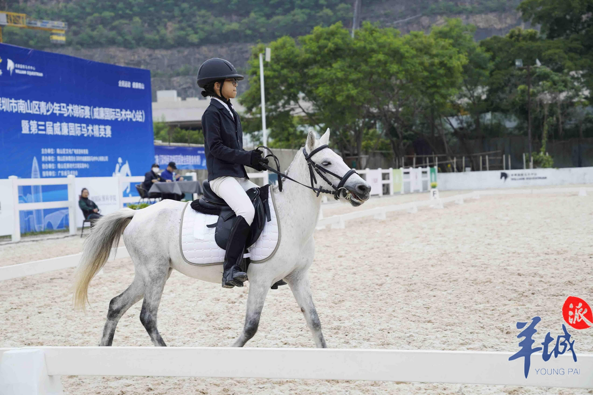 来自南山区116对人马组合不惧寒风代表各自马术俱乐部参赛.