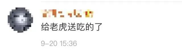 不要命了？北京野生动物园游客擅自下车冲向虎群 园方：已报警休闲区蓝鸢梦想 - Www.slyday.coM