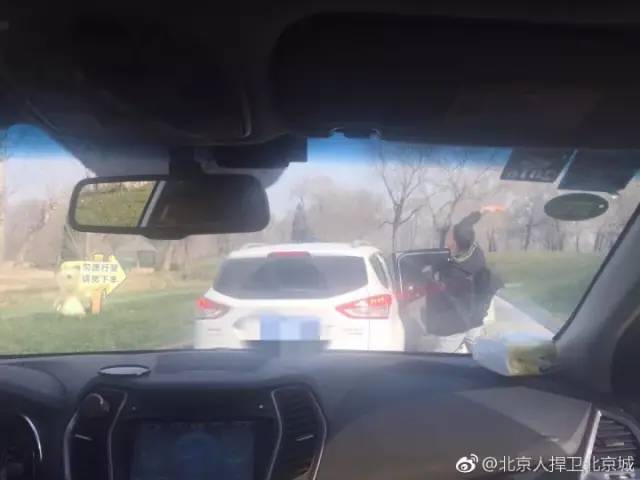 不要命了？北京野生动物园游客擅自下车冲向虎群 园方：已报警休闲区蓝鸢梦想 - Www.slyday.coM