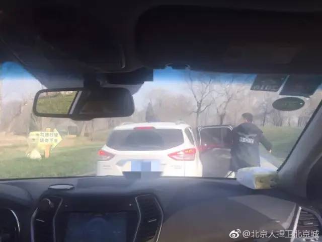 不要命了？北京野生动物园游客擅自下车冲向虎群 园方：已报警休闲区蓝鸢梦想 - Www.slyday.coM