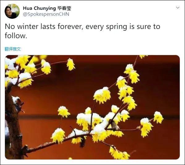 华春莹升任部长助理，是外交部“主要官员”中唯一“70后”休闲区蓝鸢梦想 - Www.slyday.coM