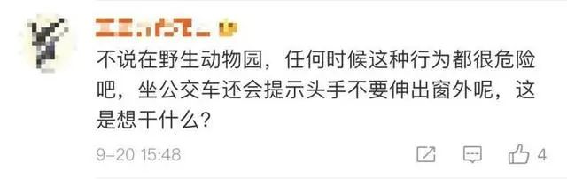 不要命了？北京野生动物园游客擅自下车冲向虎群 园方：已报警休闲区蓝鸢梦想 - Www.slyday.coM