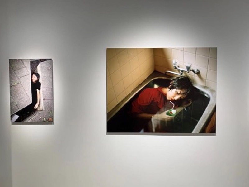 展览现场，斋部香《不是理想的猫》系列中的两张