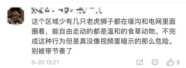 不要命了？北京野生动物园游客擅自下车冲向虎群 园方：已报警休闲区蓝鸢梦想 - Www.slyday.coM
