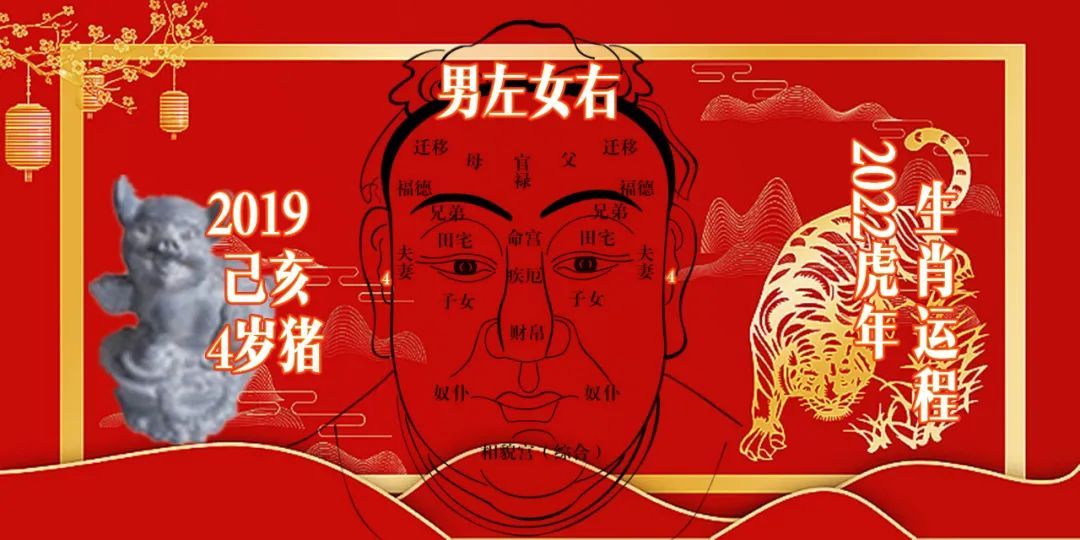 猪年生的宝宝有福了,2022年属猪的运程全解,请笑纳休闲区蓝鸢梦想 - Www.slyday.coM 猪年生的宝宝有福了,2022年属猪的运程全解,请笑纳休闲区蓝鸢梦想 - Www.slyday.coM