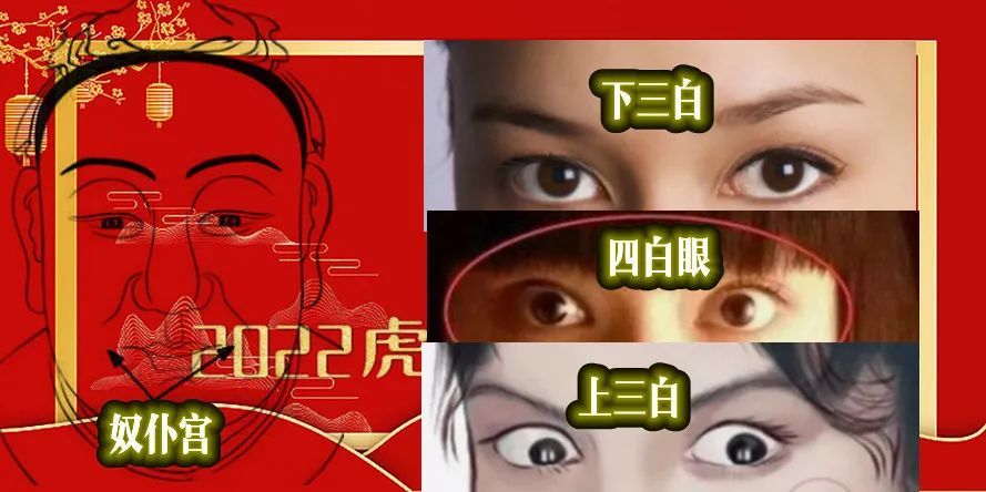 猪年生的宝宝有福了，2022年属猪的运程全解，请笑纳休闲区蓝鸢梦想 - Www.slyday.coM