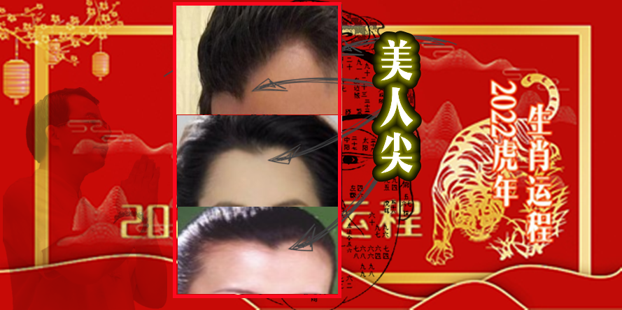 猪年生的宝宝有福了，2022年属猪的运程全解，请笑纳休闲区蓝鸢梦想 - Www.slyday.coM