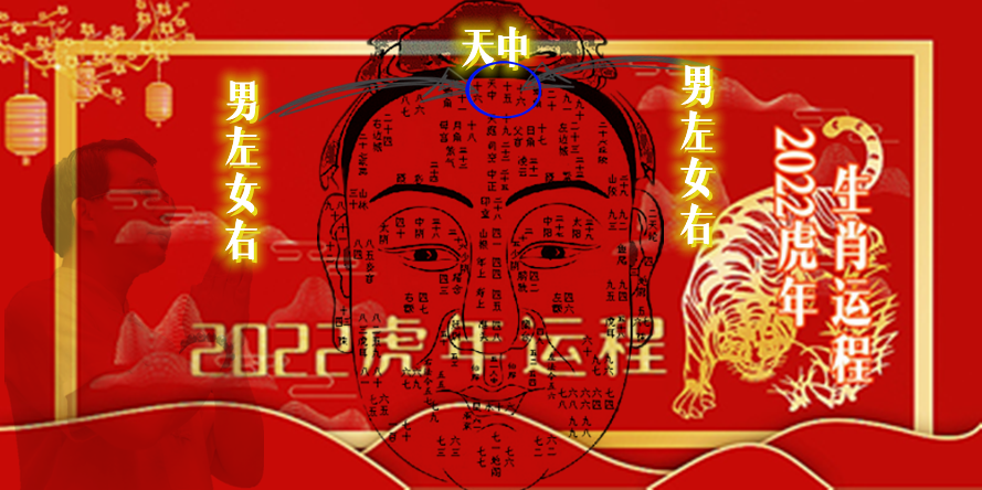 猪年生的宝宝有福了，2022年属猪的运程全解，请笑纳休闲区蓝鸢梦想 - Www.slyday.coM