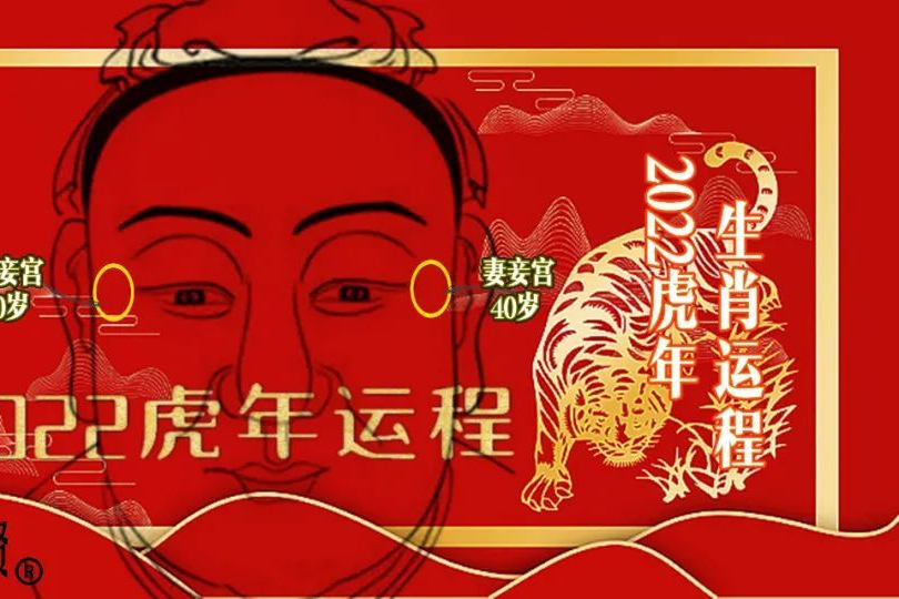 猪年生的宝宝有福了，2022年属猪的运程全解，请笑纳休闲区蓝鸢梦想 - Www.slyday.coM