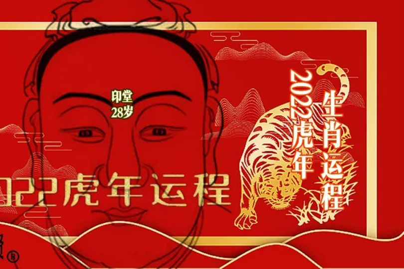 猪年生的宝宝有福了，2022年属猪的运程全解，请笑纳休闲区蓝鸢梦想 - Www.slyday.coM