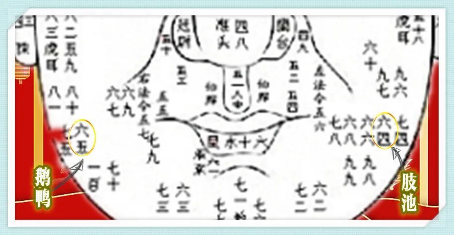 猪年生的宝宝有福了，2022年属猪的运程全解，请笑纳休闲区蓝鸢梦想 - Www.slyday.coM