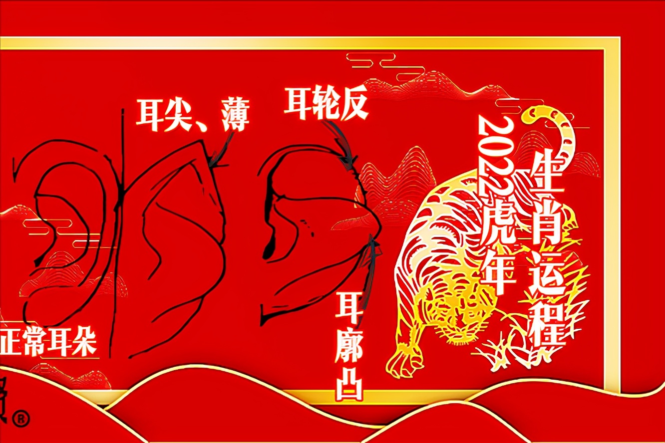 猪年生的宝宝有福了,2022年属猪的运程全解,请笑纳休闲区蓝鸢梦想 - Www.slyday.coM 猪年生的宝宝有福了,2022年属猪的运程全解,请笑纳休闲区蓝鸢梦想 - Www.slyday.coM