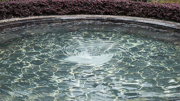 600_338gif 动态图 动图