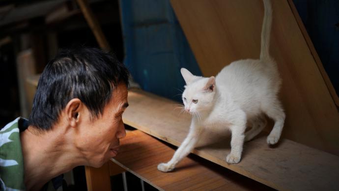 好有爱！爷爷假装赶走猫实际偷偷投食