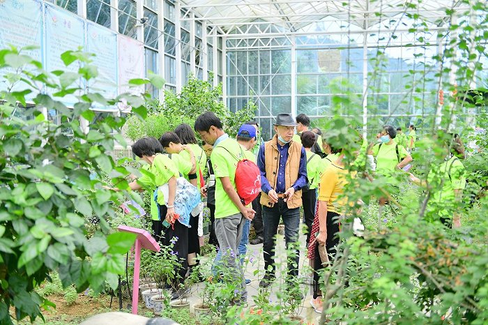 游客参观梦幻香山芳香文化园 图片来源:界面海南