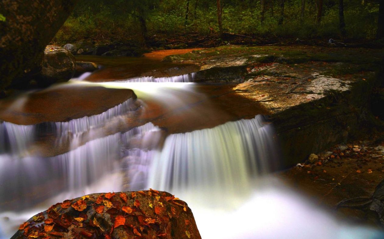 白雪与黄叶映衬 陕西宁陕这个秋天格外美休闲区蓝鸢梦想 - Www.slyday.coM