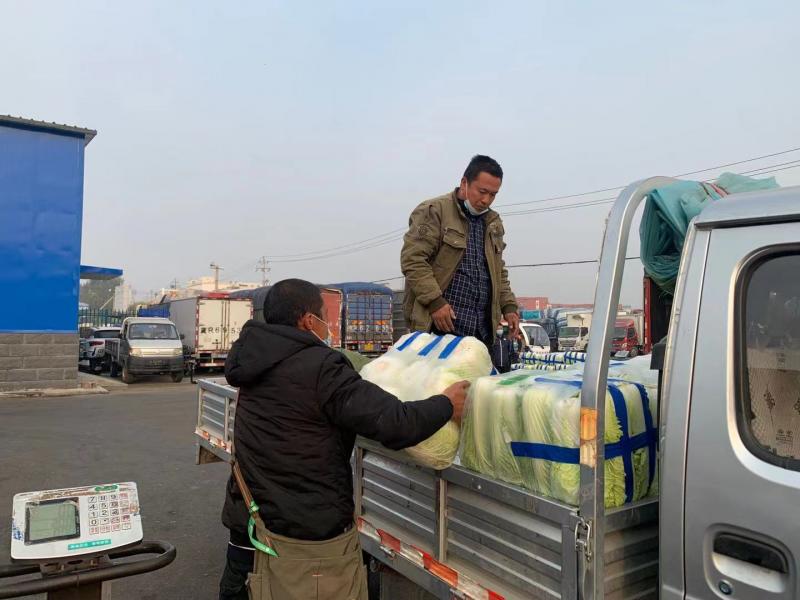 新发地冬储大白菜上市 价格较去年同期上涨90%休闲区蓝鸢梦想 - Www.slyday.coM