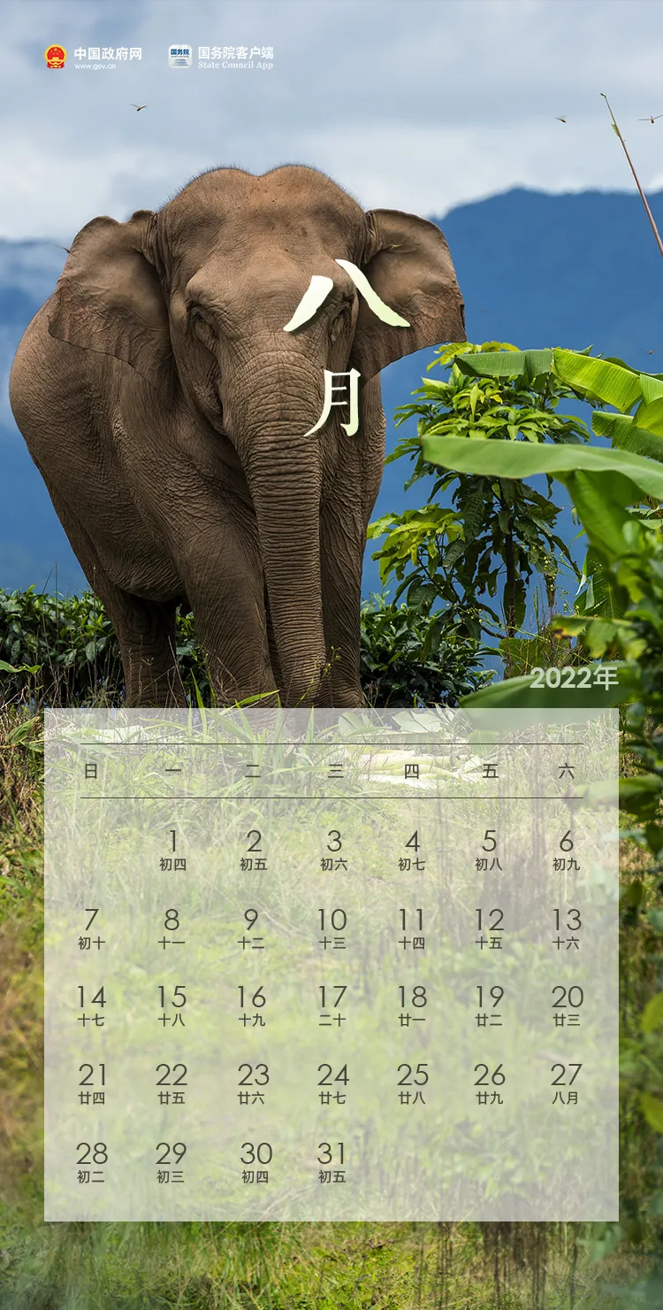 2022年放假安排出炉！劳动节连休5天，春节、国庆休7天！休闲区蓝鸢梦想 - Www.slyday.coM