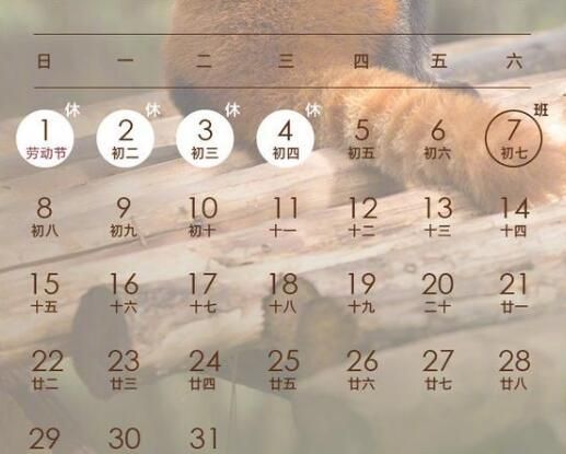 2022年全年放假安排出炉啦!春节放假很快就到!五一连休7天!休闲区蓝鸢梦想 - Www.slyday.coM