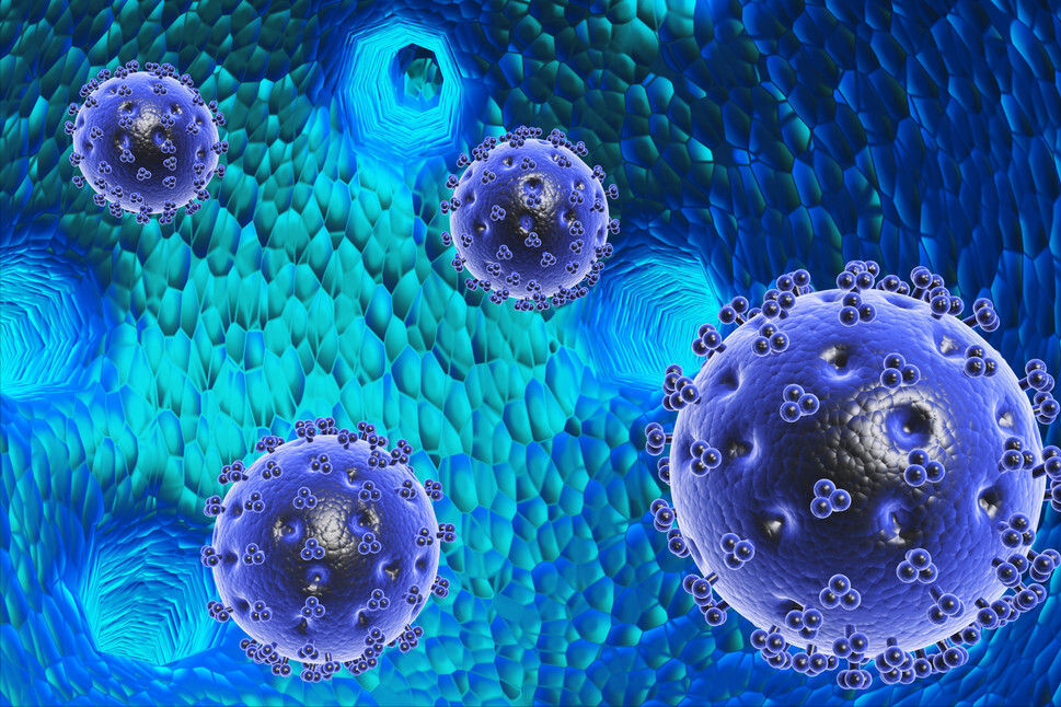 本轮疫情传至11省，源头终于公开！疫苗已无法阻挡病毒传播？休闲区蓝鸢梦想 - Www.slyday.coM