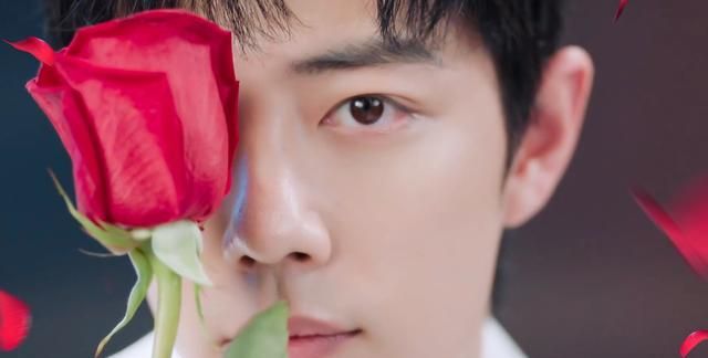 肖战发小玫瑰宣传片粉丝要冰释前嫌