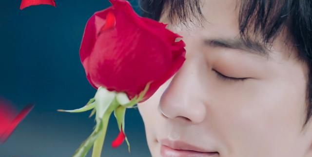肖战发小玫瑰宣传片粉丝要冰释前嫌
