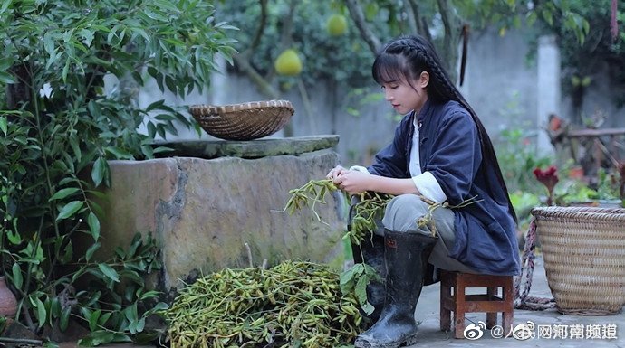 李子柒公司起诉杭州微念：被告为李子柒公司大股东休闲区蓝鸢梦想 - Www.slyday.coM