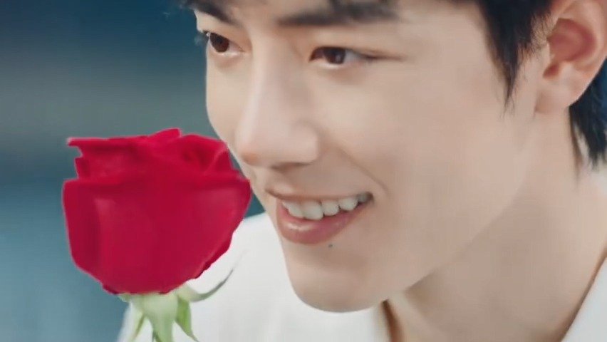 肖战最新玫瑰大片 住在玫瑰城堡的小王子,手捧鲜花