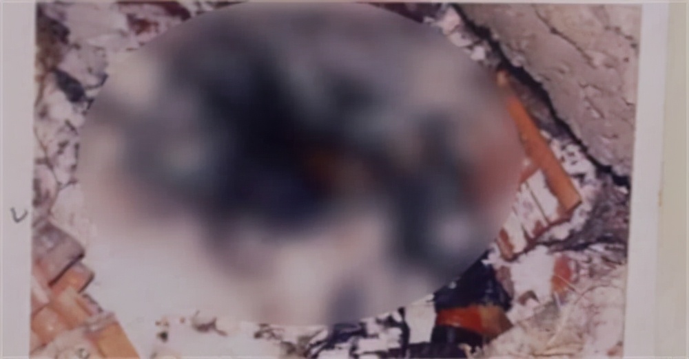 河北“化粪池藏尸”案：男子离奇失踪19年，竟在家中化粪池被发现休闲区蓝鸢梦想 - Www.slyday.coM