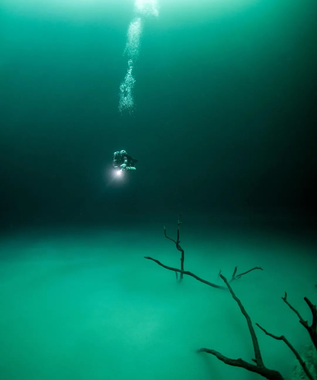 深海图片高清恐惧图片