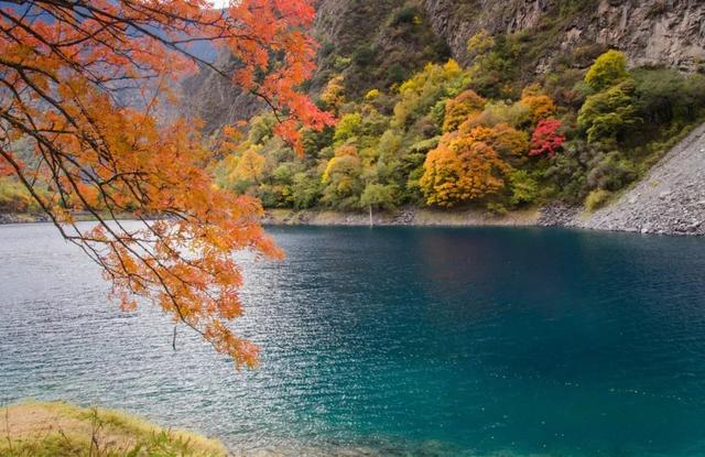 赏彩林！摘秋果！成都出发3小时，去川西小九寨吃喝玩乐耍2天休闲区蓝鸢梦想 - Www.slyday.coM