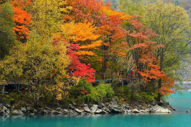 赏彩林！摘秋果！成都出发3小时，去川西小九寨吃喝玩乐耍2天休闲区蓝鸢梦想 - Www.slyday.coM