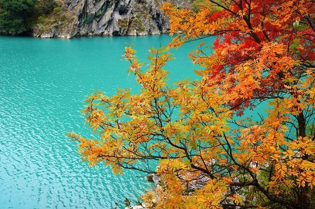 赏彩林！摘秋果！成都出发3小时，去川西小九寨吃喝玩乐耍2天休闲区蓝鸢梦想 - Www.slyday.coM