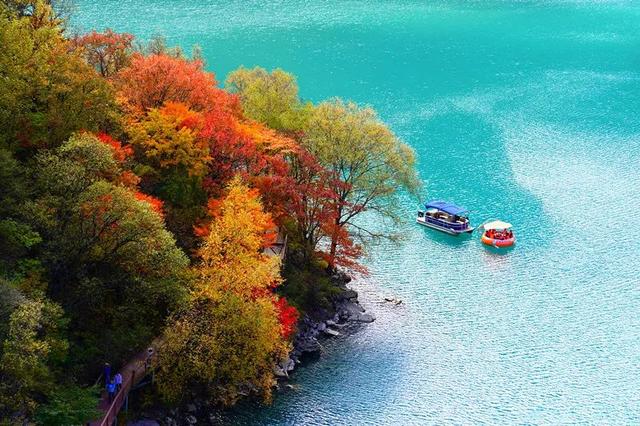 赏彩林！摘秋果！成都出发3小时，去川西小九寨吃喝玩乐耍2天休闲区蓝鸢梦想 - Www.slyday.coM