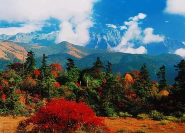 赏彩林！摘秋果！成都出发3小时，去川西小九寨吃喝玩乐耍2天休闲区蓝鸢梦想 - Www.slyday.coM