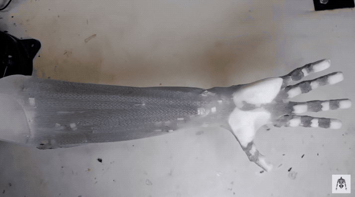 AI|人造肌肉机械臂太逼真引热议 举7kg哑铃“肌肉”清晰可见