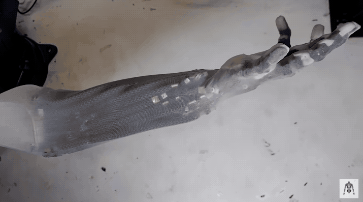 AI|人造肌肉机械臂太逼真引热议 举7kg哑铃“肌肉”清晰可见