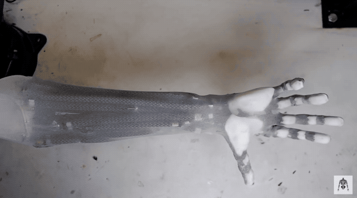 AI|人造肌肉机械臂太逼真引热议 举7kg哑铃“肌肉”清晰可见