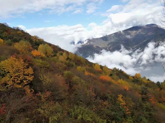 赏彩林！摘秋果！成都出发3小时，去川西小九寨吃喝玩乐耍2天休闲区蓝鸢梦想 - Www.slyday.coM