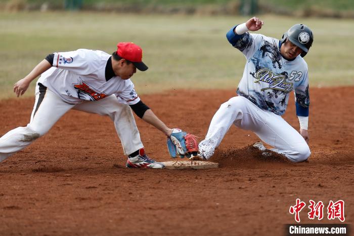 棒垒球搭桥 增进两岸体育文化交流|棒球|垒球|台湾省_新浪新闻