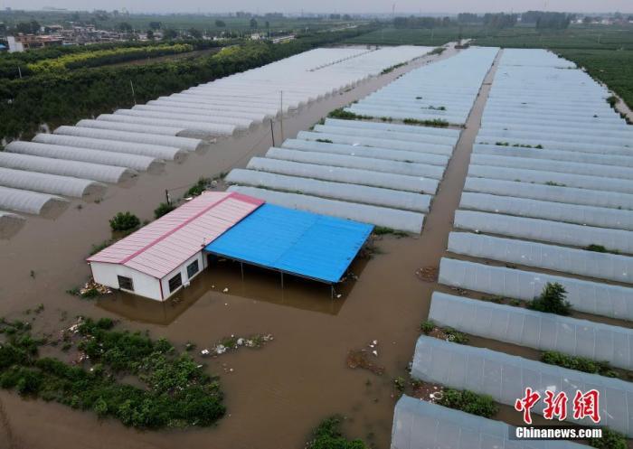 资料图：被淹的大棚。 中新社记者 邹浩 摄