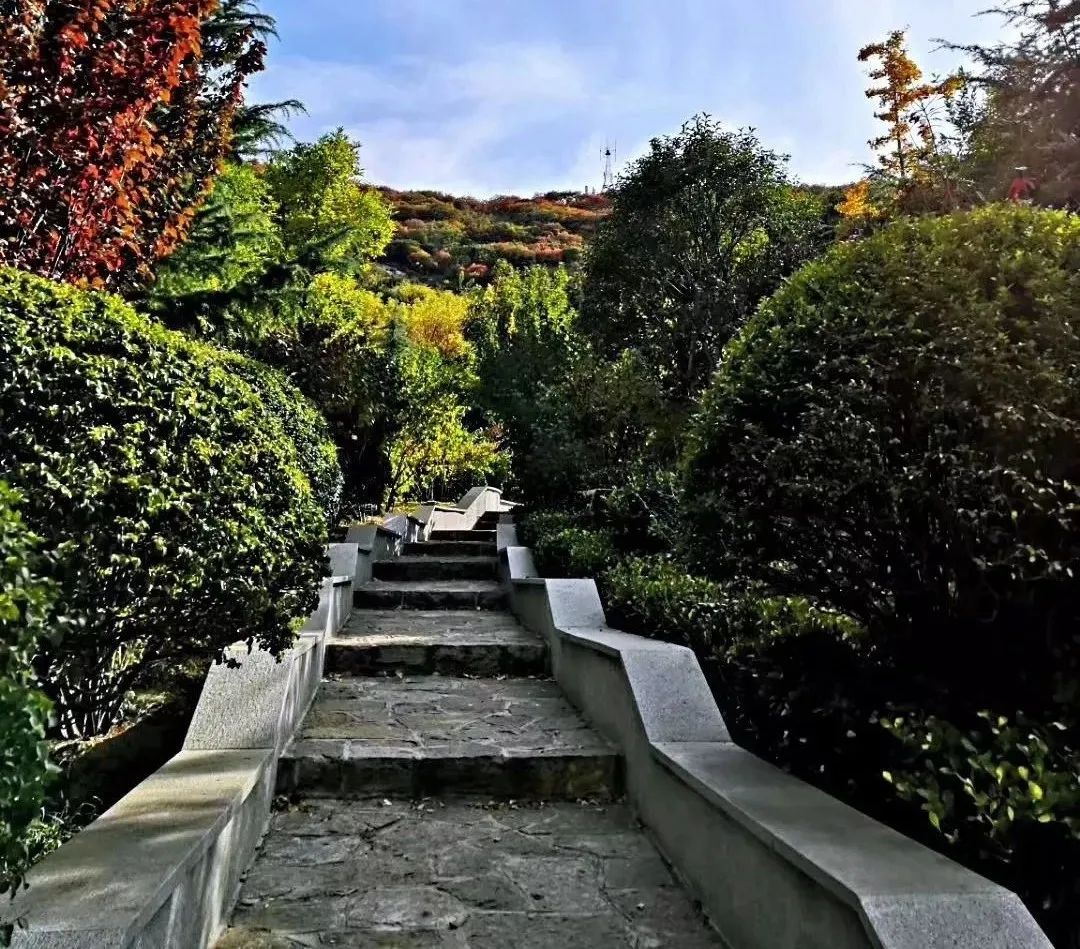 金秋余额不足抓住秋日的尾巴打卡济南最美山水环山路