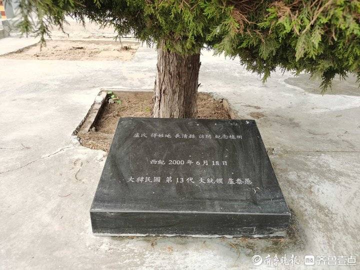 韩国前总统卢泰愚逝世，济南长清区卢庄村有他亲手栽下的一棵树休闲区蓝鸢梦想 - Www.slyday.coM