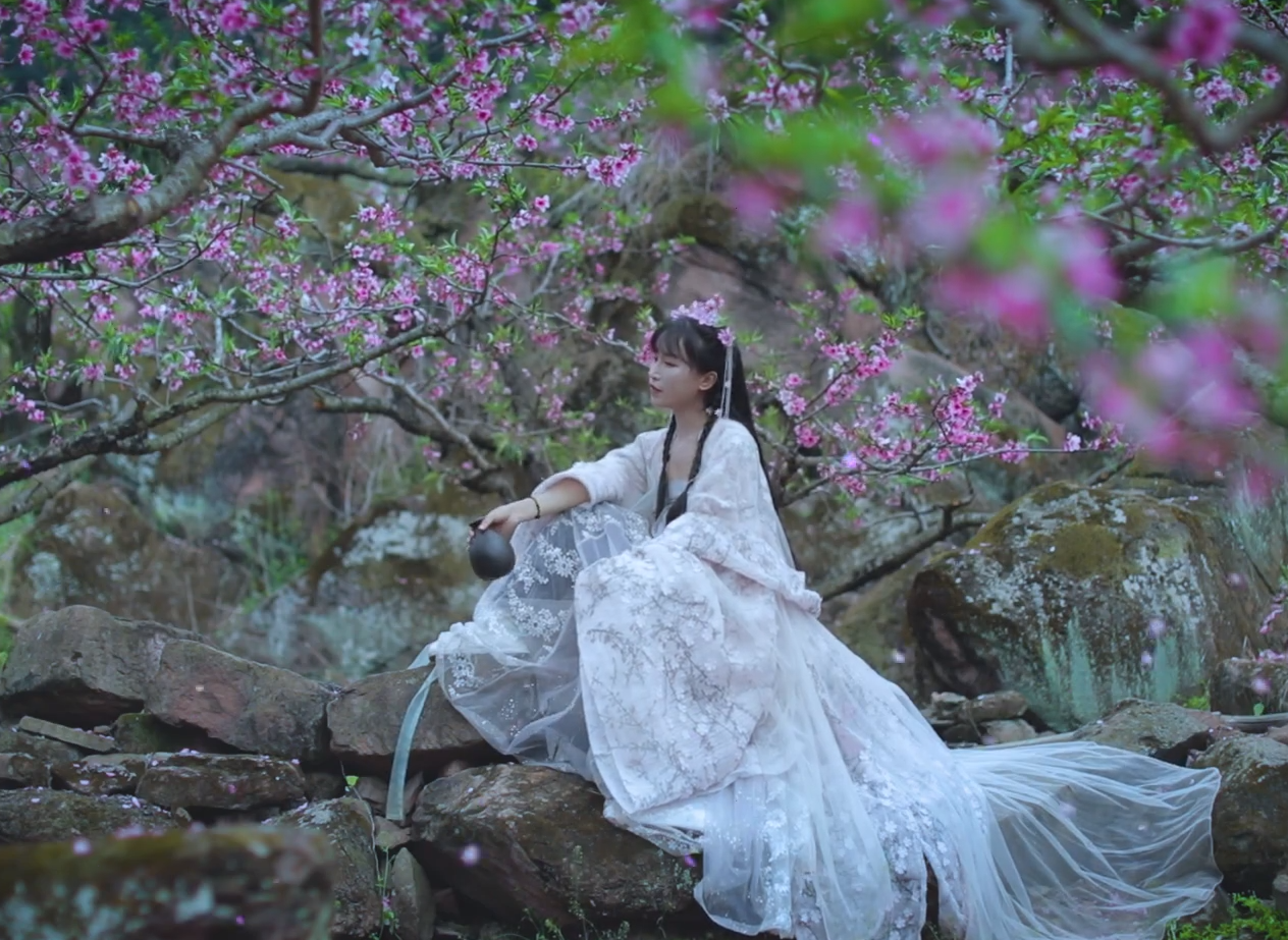 “保护自己的名字”，李子柒公司正式起诉杭州微念休闲区蓝鸢梦想 - Www.slyday.coM