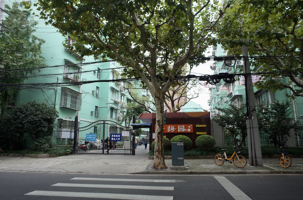 家门口的好去处行走上海曹杨看曾经的工人新村大变样