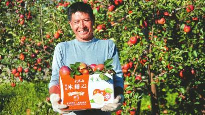 从丑苹果到网红苹果:盐源苹果借力电商走出大凉山(图1) 从丑苹果到网红苹果:盐源苹果借力电商走出大凉山(图1)