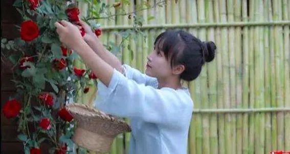 两败俱伤？李子柒起诉合作经纪公司杭州微念休闲区蓝鸢梦想 - Www.slyday.coM