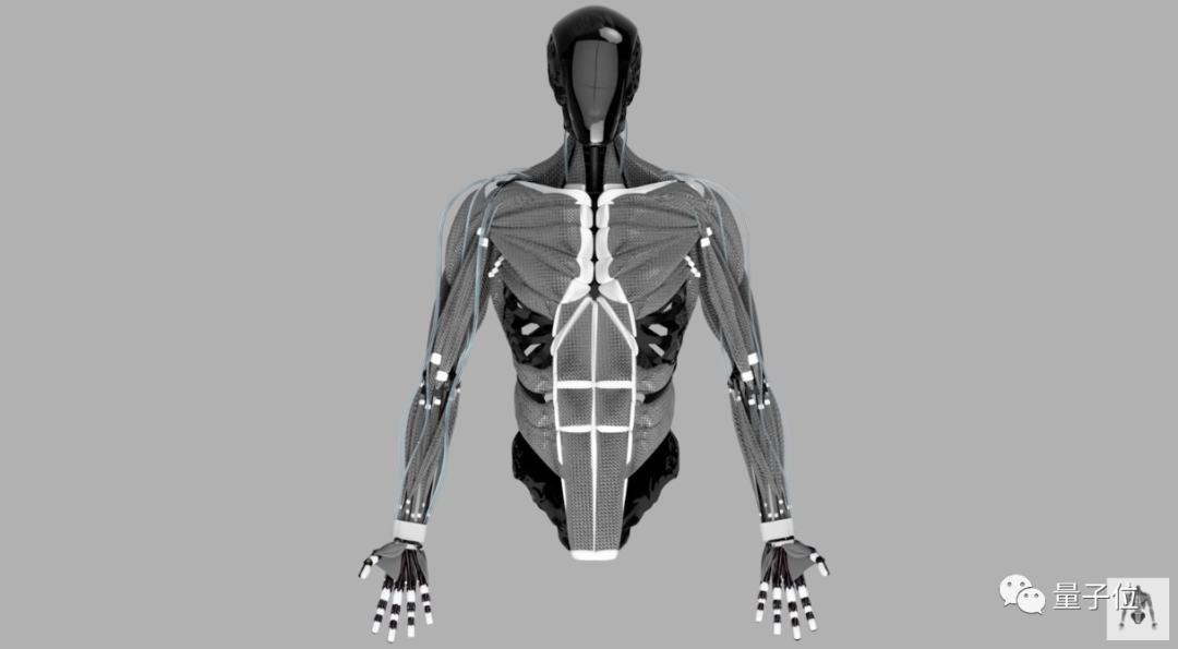 AI|人造肌肉机械臂太逼真引热议 举7kg哑铃“肌肉”清晰可见
